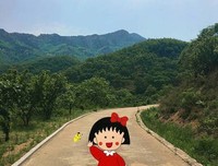 樱桃的滋味：阿巴斯谈电影经典读后感有感