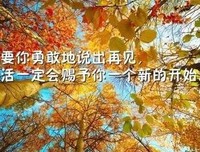 情缘深浅的优美句子