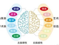 《天才源自刻意练习》读后感锦集