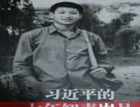岁月向暖读后感精选
