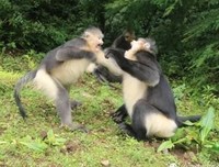 《高难度谈话Ⅱ》读后感精选