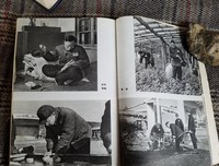 我的前半生读后感锦集