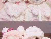 《狗狗与我的十个约定》经典观后感1000字
