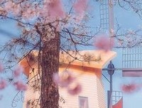 逝去最难释怀的句子