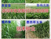 关于冬牧再事学的句子