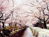 《伤了不痛》语录摘抄