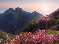 《杜鹃山》的影评大全