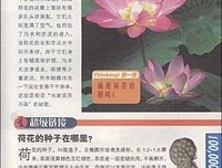 记忆裂痕的读后感大全