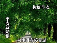 夜不能寐的语句摘抄_关于夜不能寐的语句