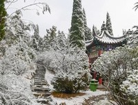 《一切都好》影评摘抄