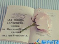 捉摸不定的语句摘抄_关于捉摸不定的语句