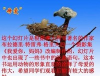 关于我爱你句子大全