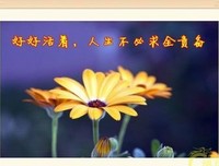 《昨日世界》的读后感大全