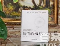 《估值的标尺》读后感100字