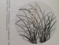 《每一天都是最好的生活：杨绛传》读后感1000字