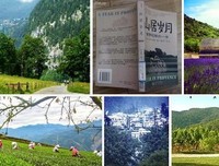 对的人，终会在岁月里相遇读后感锦集
