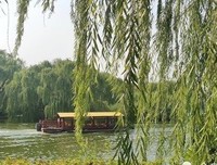 《中国往事》读后感摘抄