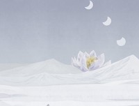此情可待成追忆好词好句