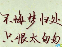 关于青春、的句子