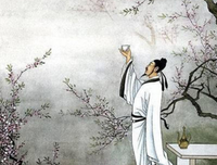 关于露珠集的句子