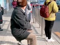 《爱犬的奇迹》观后感精选