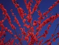 《一定要，爱着点什么》读后感1000字