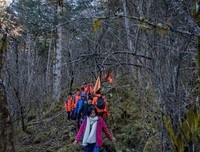 野蛮的名句_关于野蛮的名句