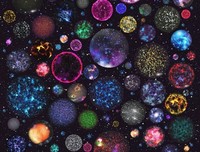 穿越平行宇宙读后感100字