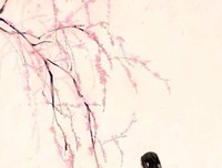 古风诗词