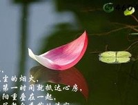 执梦涟漪