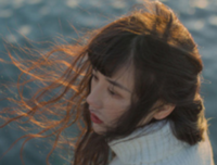 上了心的句子