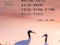 青葱就地说自第实不的句子