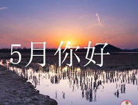 一朵阳光。优美的句子