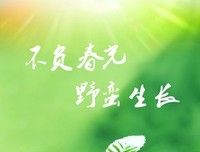 关于韶光的唯美句子