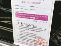 《倒霉性爱，发狂黄片》观后感精选