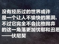 关于丑恶的名言