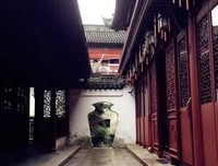 《因为懂得 所以慈悲》读后感1000字
