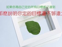 Tank经典语录
