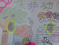 城市里的野生动物的读后感大全