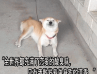 有关们地都并学名人的句子