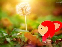 只为途中与你相遇的句子