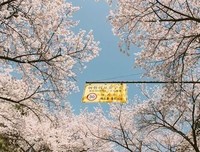 最全的《友情岁月》好段摘抄