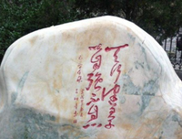 无所不能的名句_关于无所不能的名句
