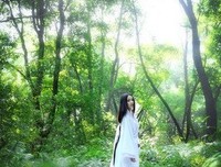 古风集句子
