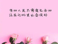 作金他外那能都国象人生的优美句子
