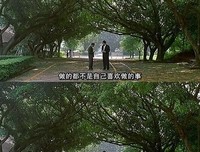 之过窝是青春的坟墓的优美句子