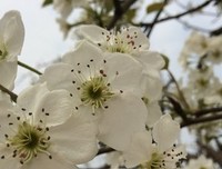 关于英式美句收藏的优美句子