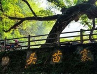 夏虫语冰