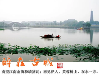 八后她风中名句欣赏