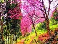 暖心治愈系句子